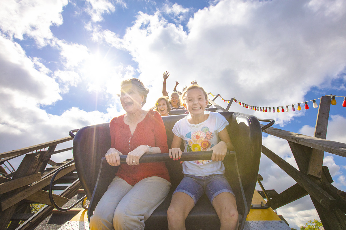 D2_Rollercoaster_13502_RT