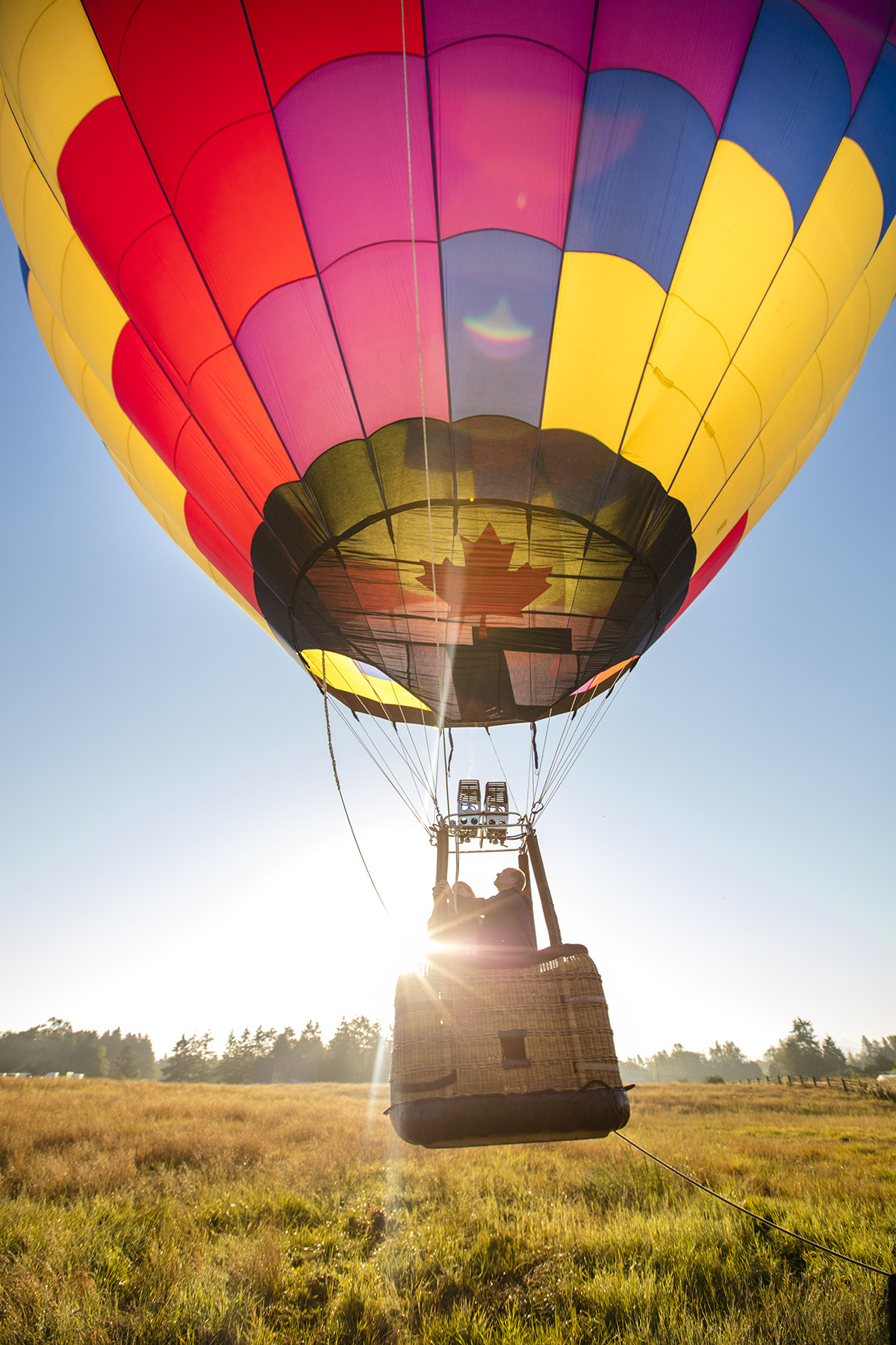 D3_Hot_Air_Balloon_16346