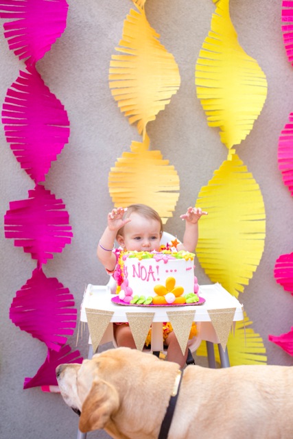 Noa_1stBirthday_May2015__0505