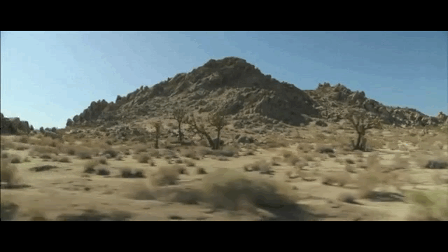 desert-lookingoutwindow